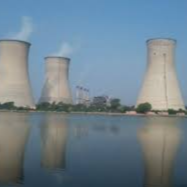 Coastal Andhra Power Limited (CAPL)