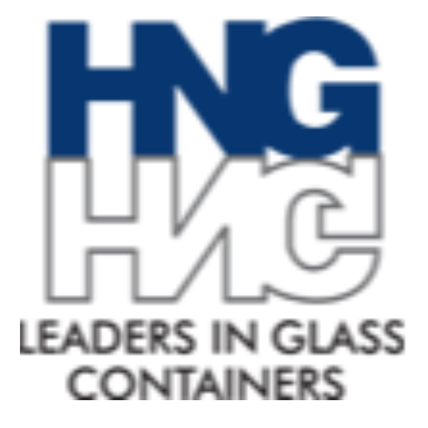 Hindustan National Glass & Industries Limited