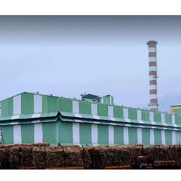 Swaraj Green Power and Fuel Limited